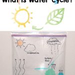 Showing the water cycle using sharpie on a sandwich bag