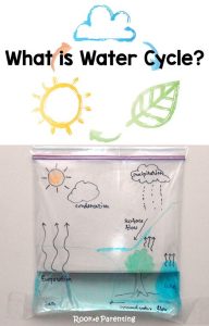 Water cycle in a bag challenge
